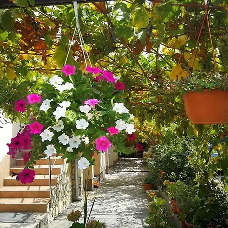 Studio Apartman Mira Appartamento Šilo